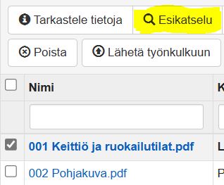 esikatselu.JPG